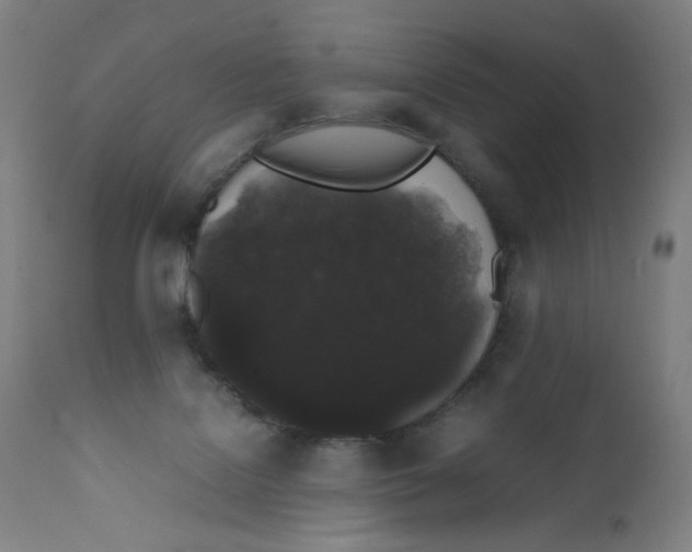 X0000111880076200908201307