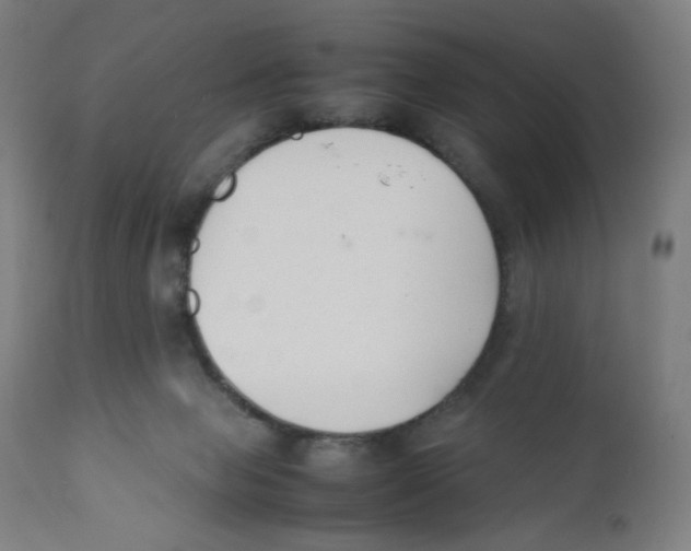 X0000111880077200908201307