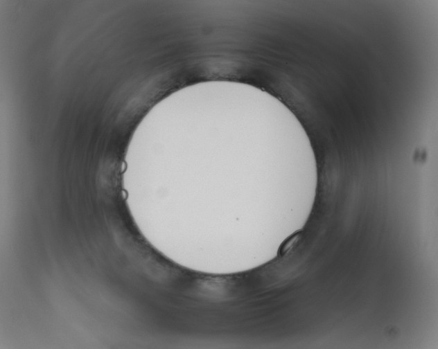 X0000111880079200908201307