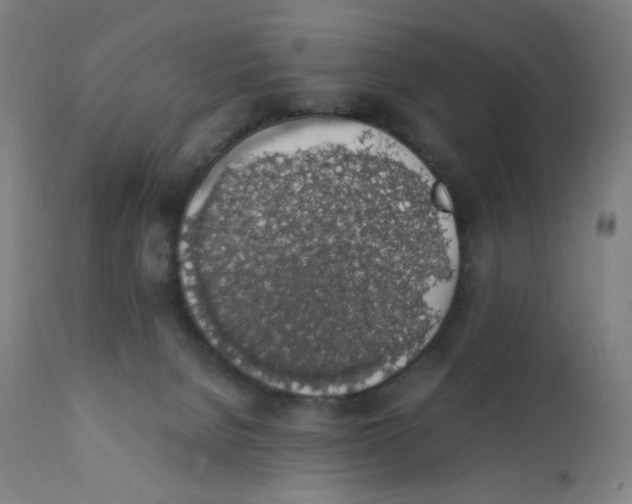 X0000111880080200908201307