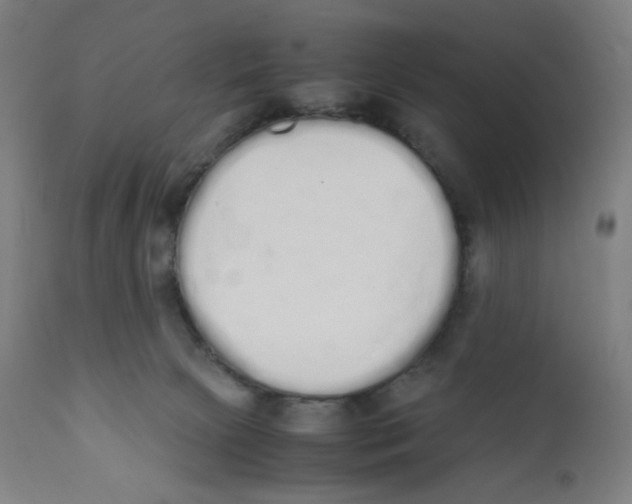X0000111880081200908201307