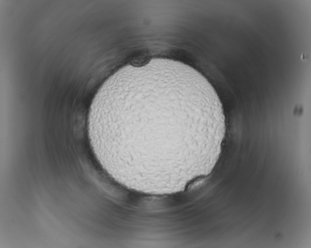 X0000111880082200908201307