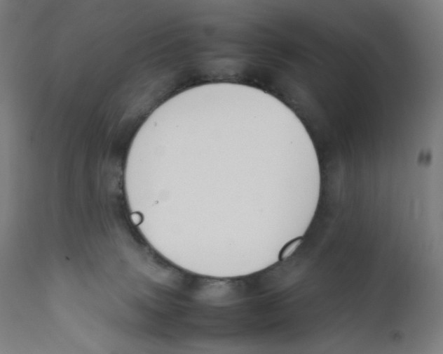X0000111880083200908201307