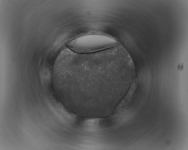 X0000111880084200908201307