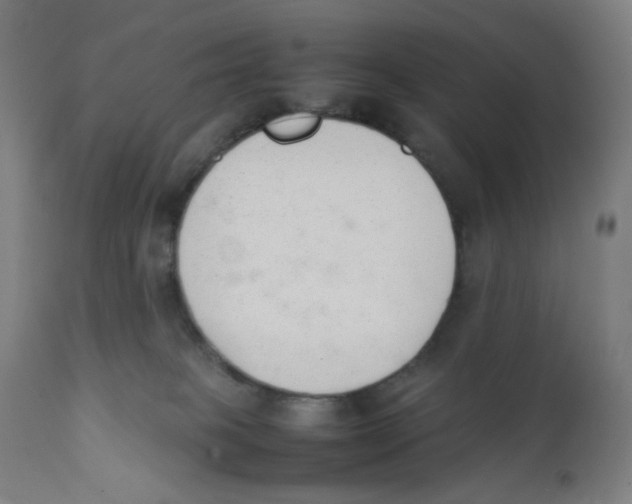 X0000111880085200908201307