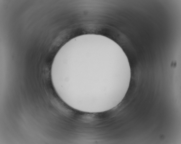 X0000111880086200908201307