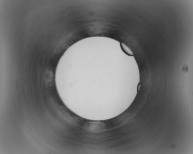 X0000111880087200908201307