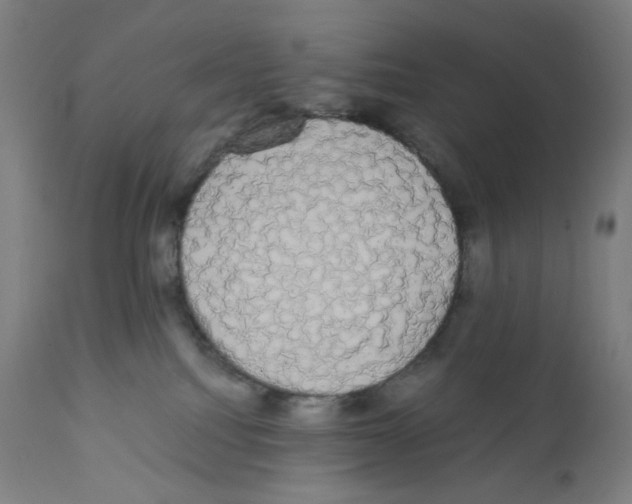 X0000111880088200908201307
