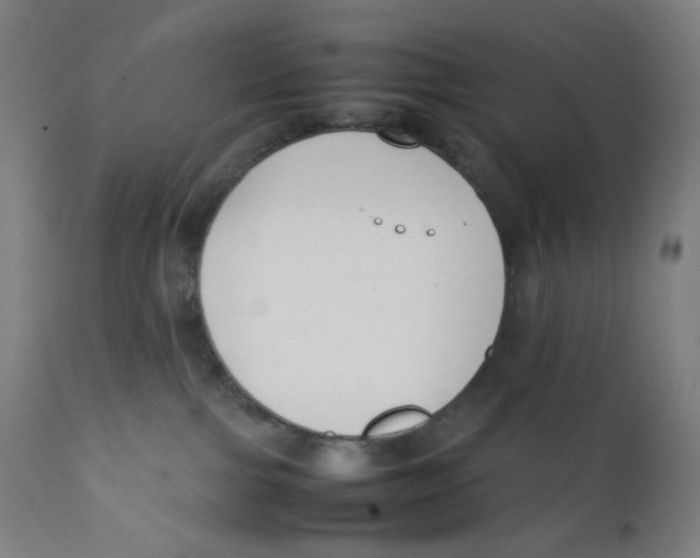 X0000111880091200908201307