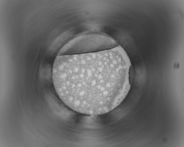 X0000111880092200908201307