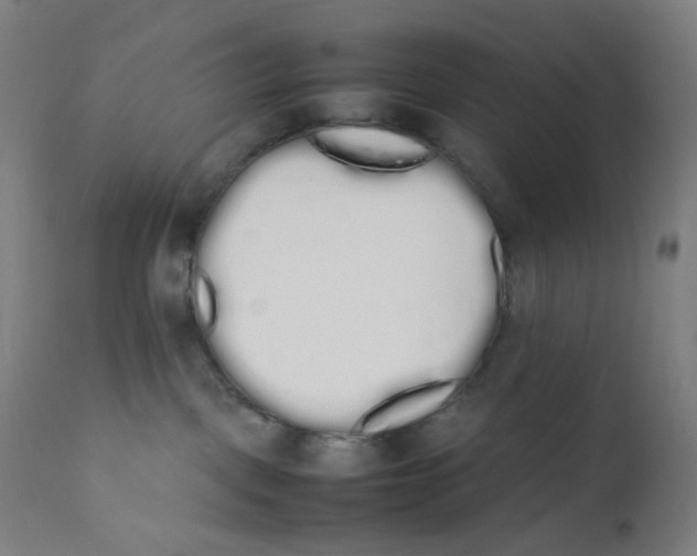 X0000111880093200908201308