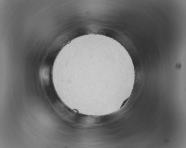 X0000111880094200908201308