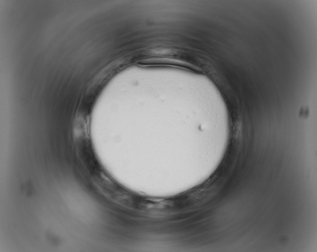 X0000111880095200908201308