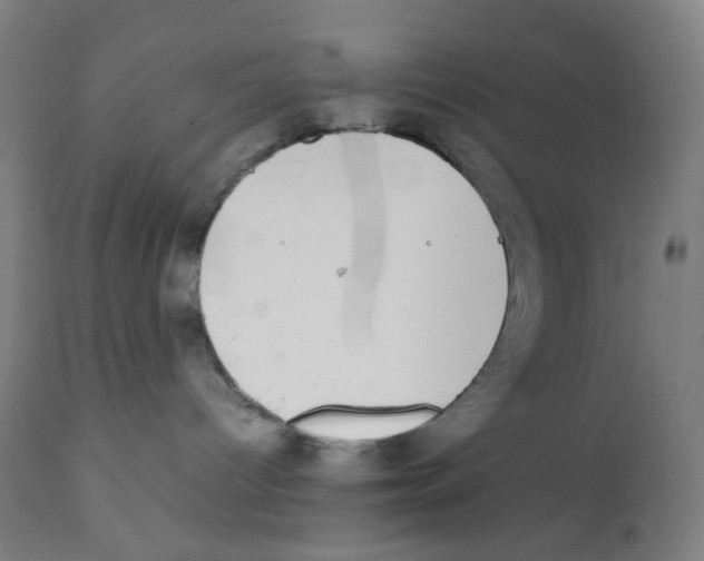 X0000111880096200908201308