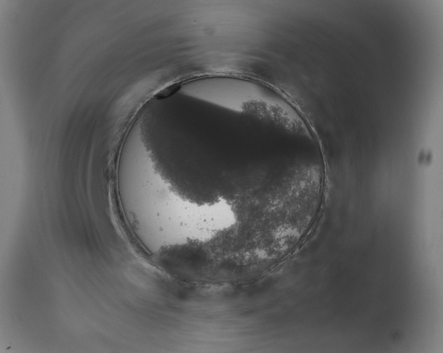 X0000111880097200908201307