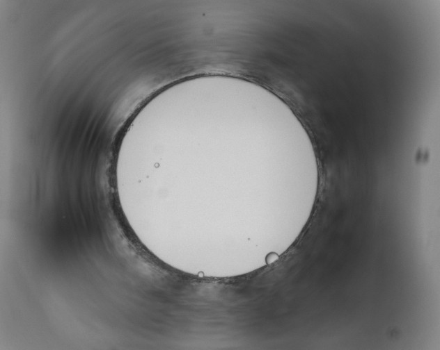 X0000111880098200908201307