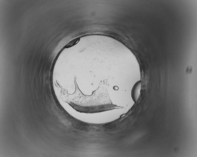 X0000111880099200908201307