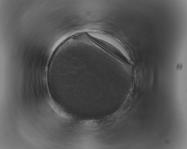 X0000111880100200908201307