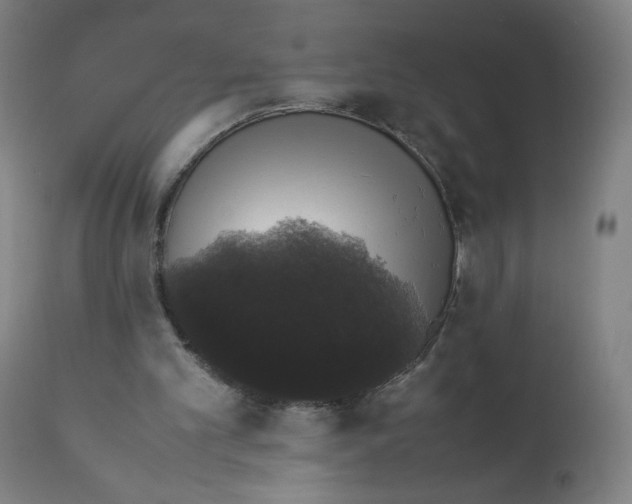 X0000111880101200908201307