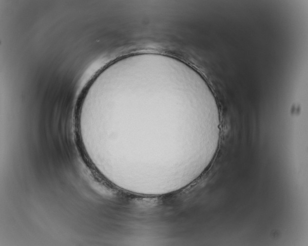 X0000111880102200908201307