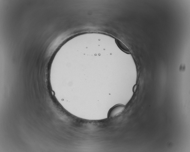 X0000111880103200908201307