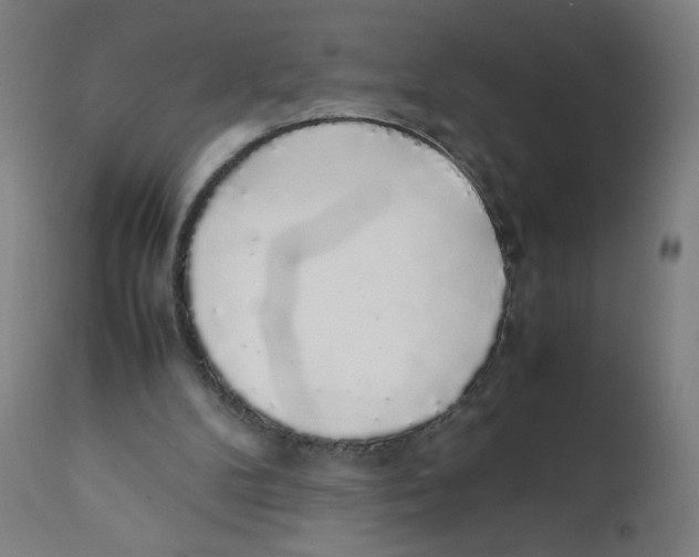 X0000111880104200908201307