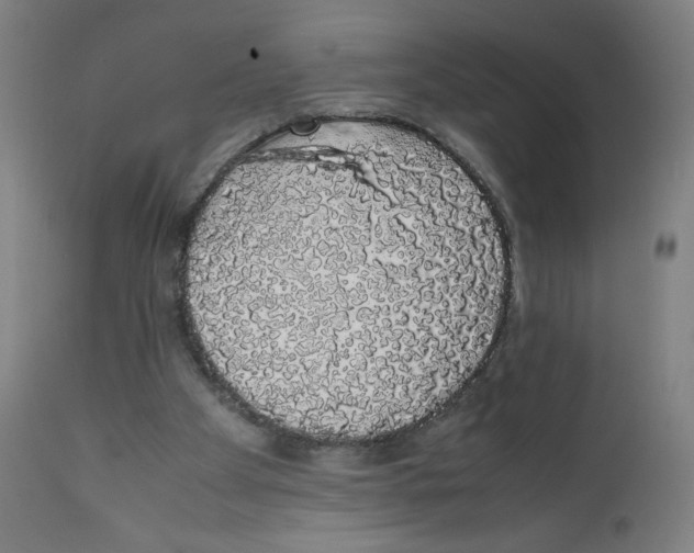 X0000111880105200908201307