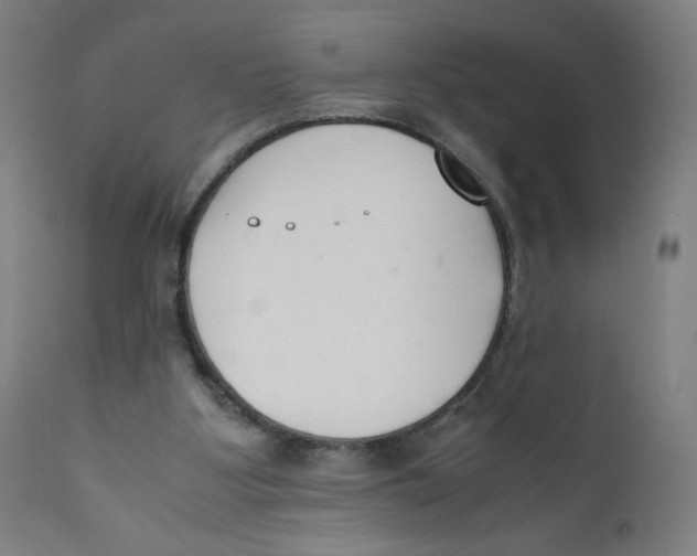 X0000111880107200908201307