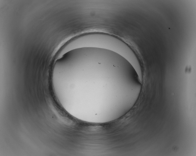 X0000111880108200908201307