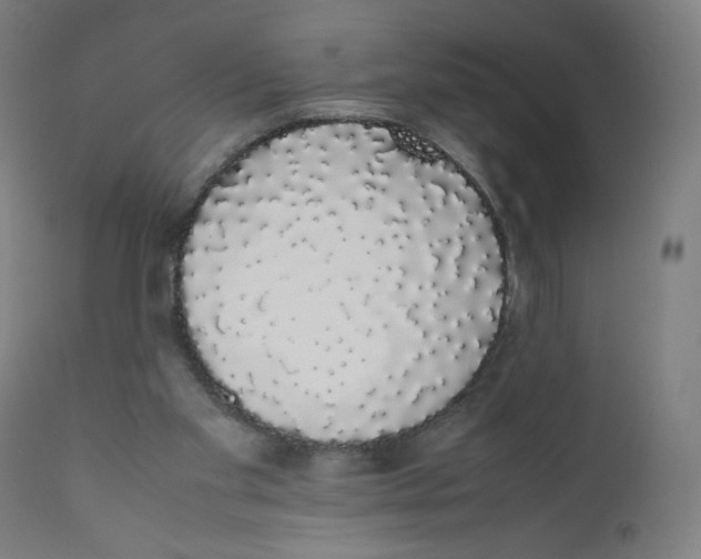 X0000111880109200908201307