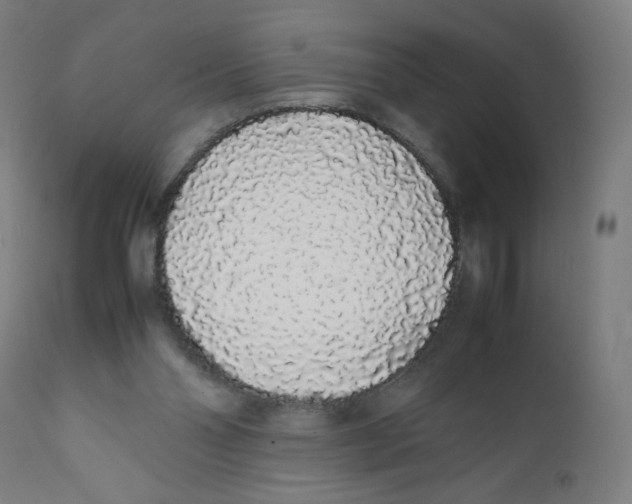 X0000111880110200908201307