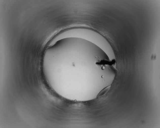 X0000111880112200908201307