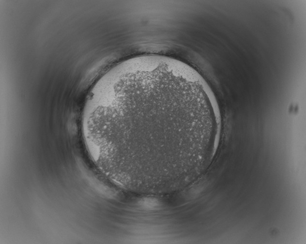 X0000111880114200908201306
