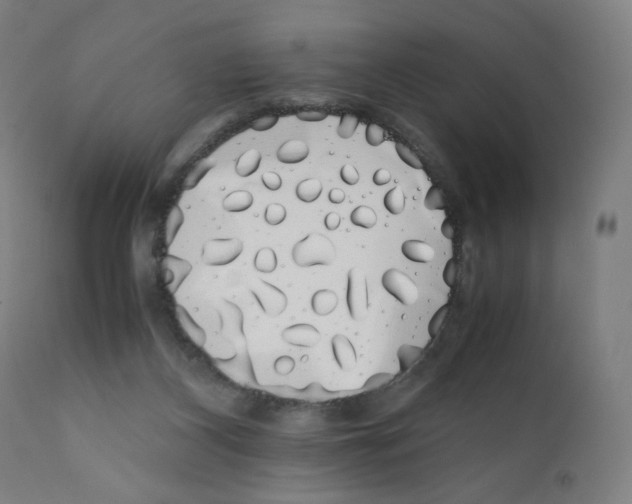 X0000111880116200908201306