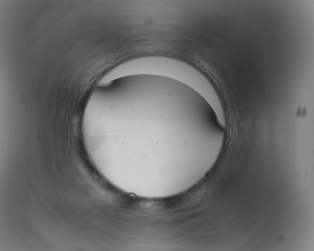 X0000111880117200908201306