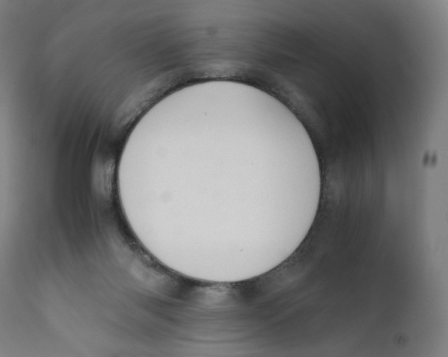 X0000111880118200908201306