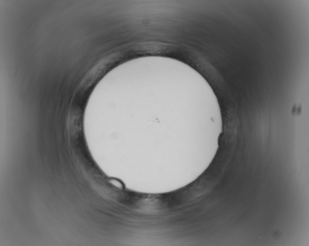 X0000111880119200908201306