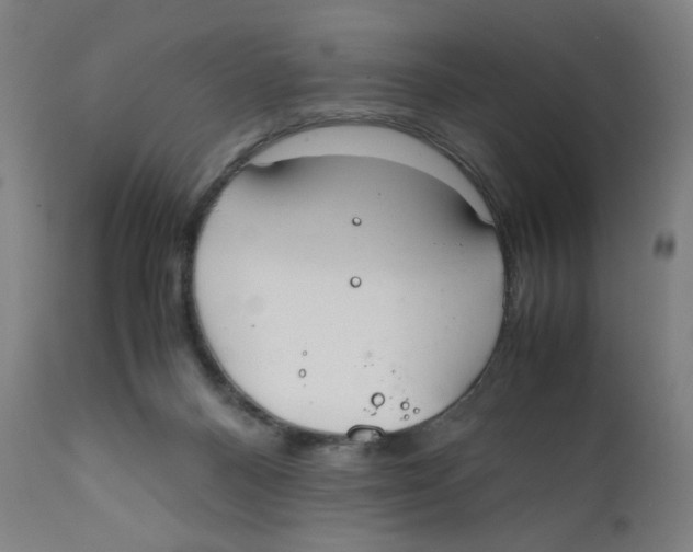 X0000111880120200908201306