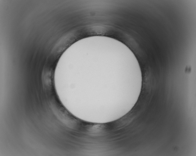 X0000111880122200908201306