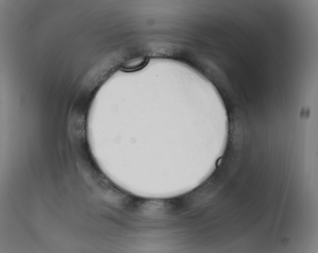 X0000111880123200908201306