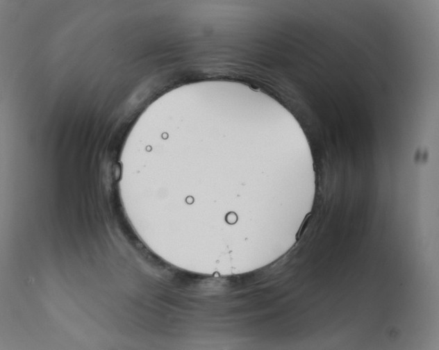 X0000111880124200908201306