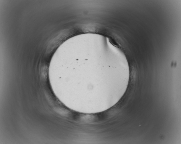 X0000111880125200908201306