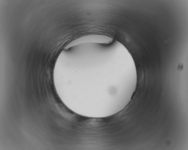 X0000111880128200908201306