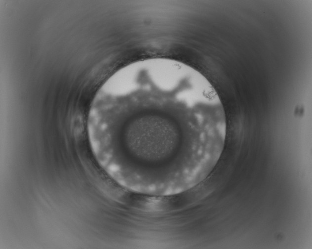 X0000111880130200908201306