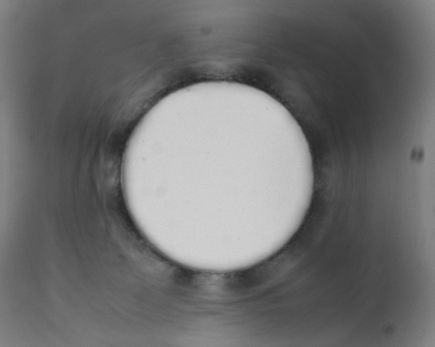 X0000111880131200908201306
