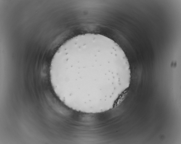 X0000111880132200908201306