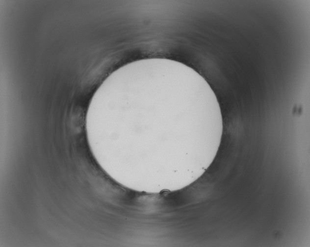 X0000111880133200908201306