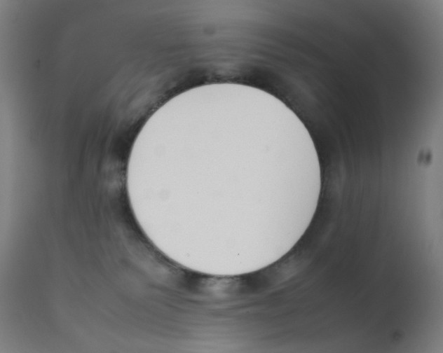 X0000111880135200908201306
