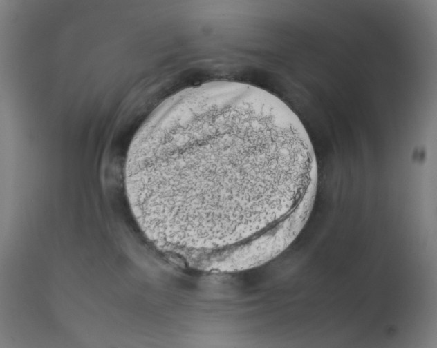 X0000111880137200908201306