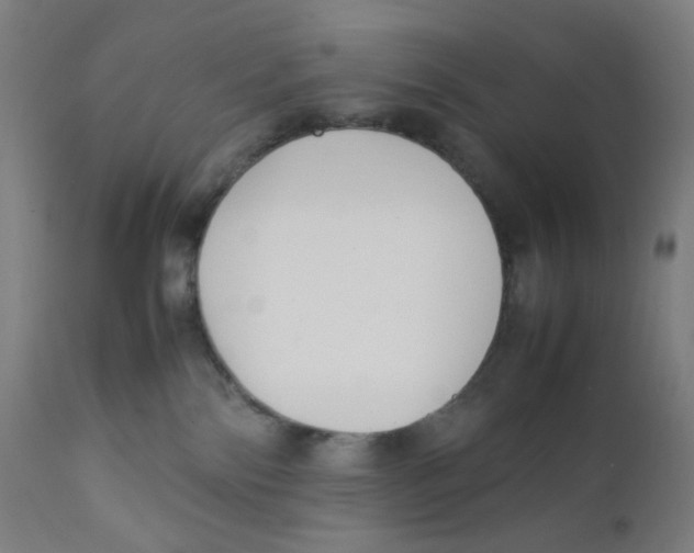 X0000111880138200908201306